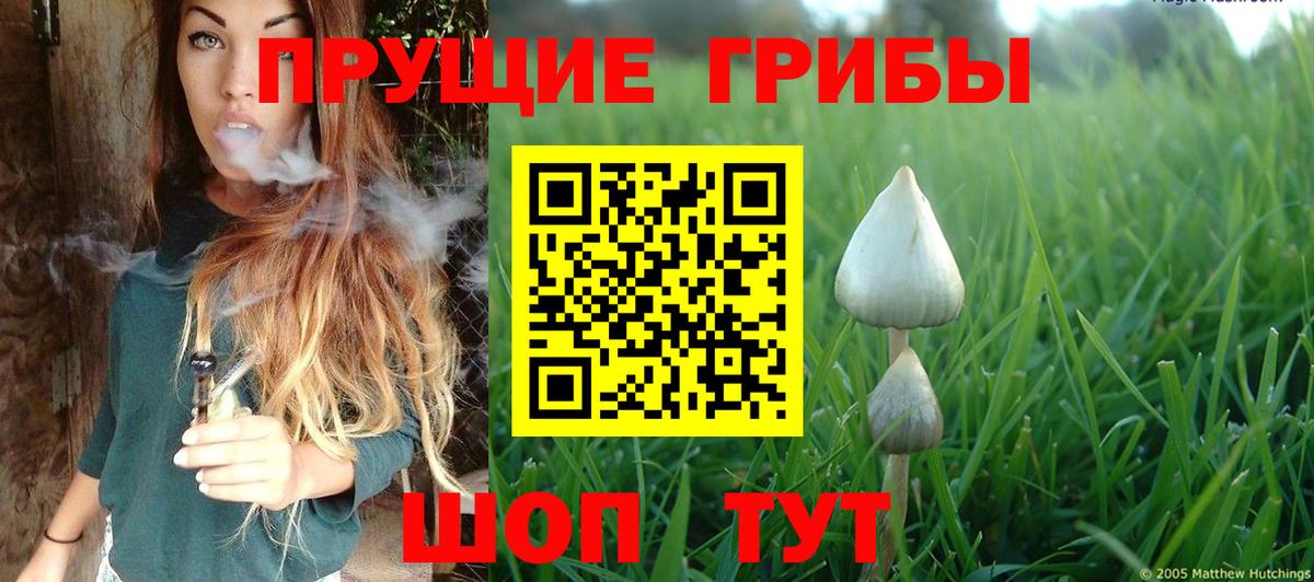 Грозный  Галлюциногенные грибы ЛСД  Вход с VPN 